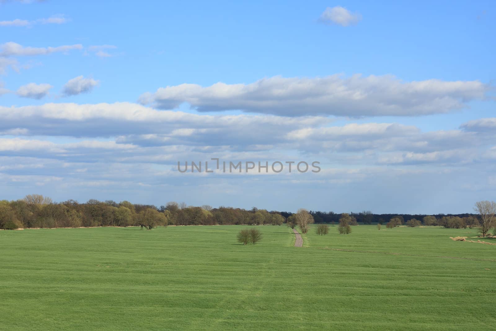 View on the floodplain of the Elbe river in Saxony-Anhalt / Germany, in early spring