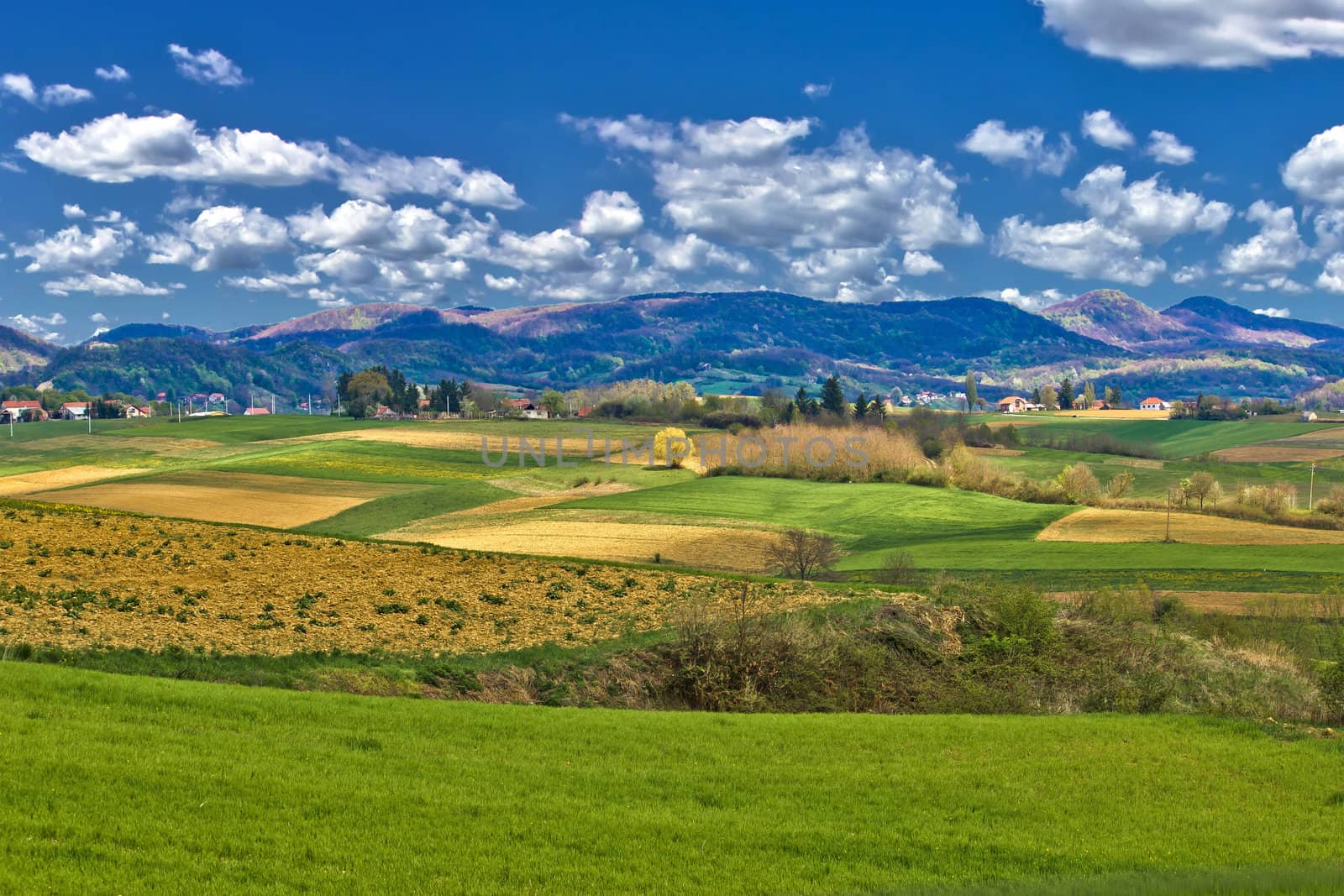 Beautiful green landscape under blue sky, Prigorje, Croatia