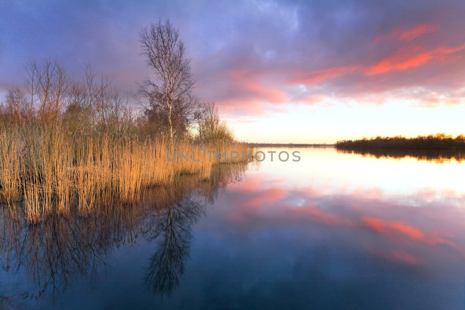 view on wild lake during colorful sunset