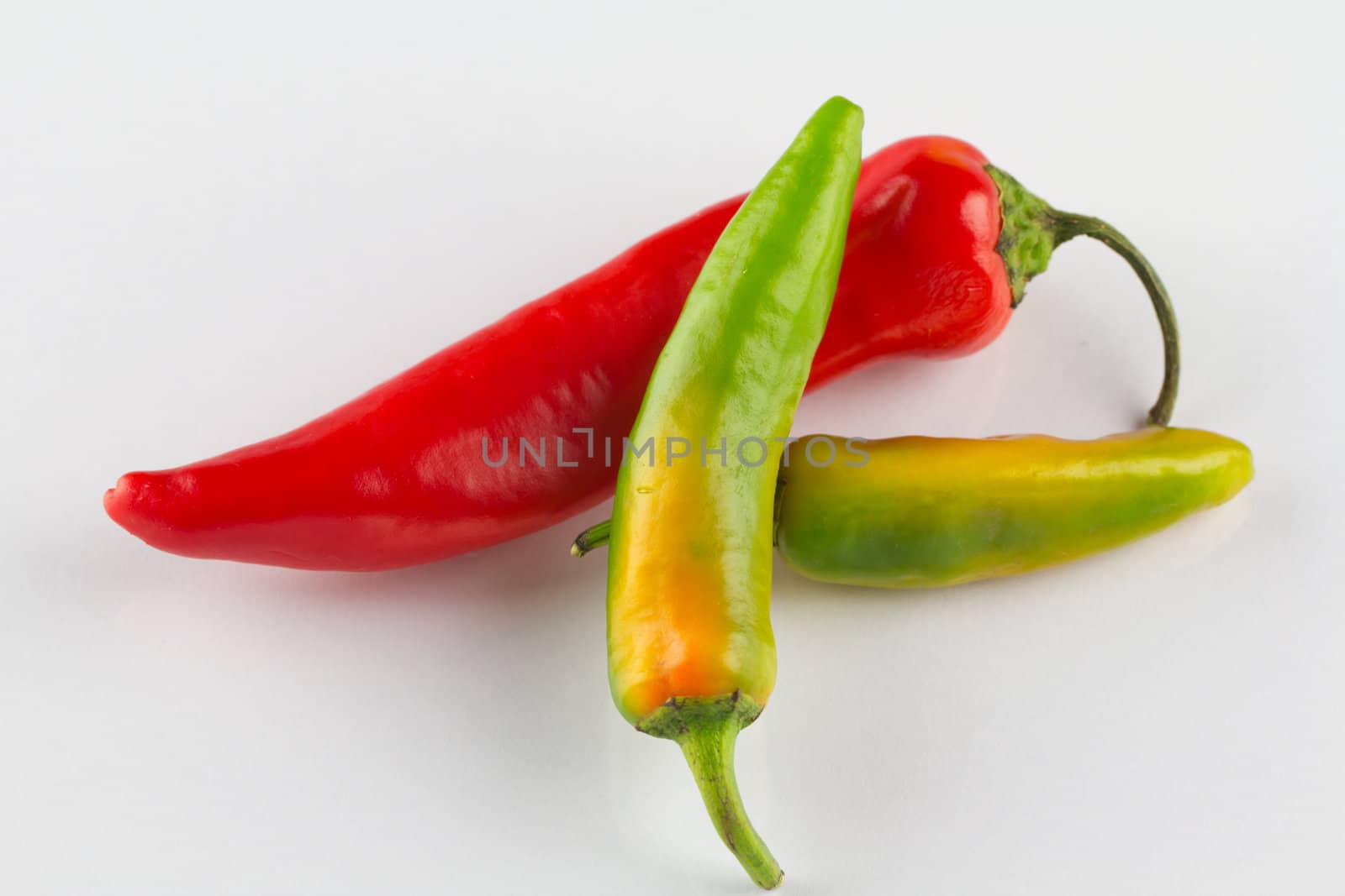 Fiery hot jalapenos peppers