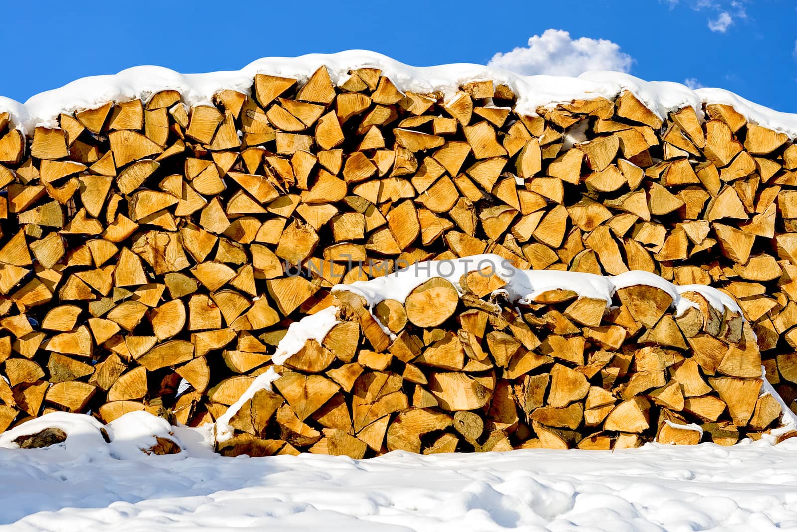 Stacked pile of firewood