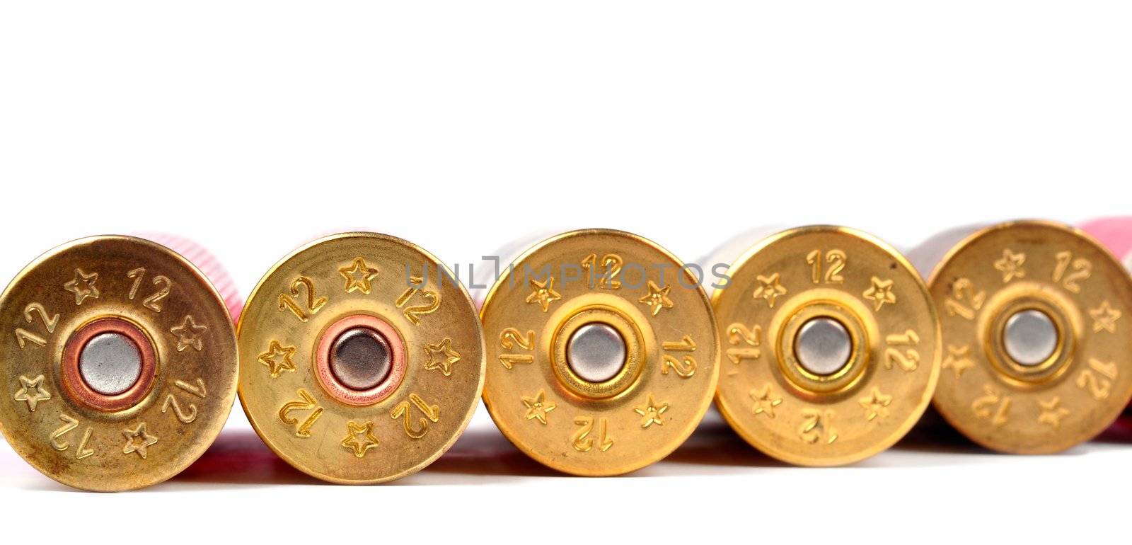 12 gauge shtogun shells used for hunting