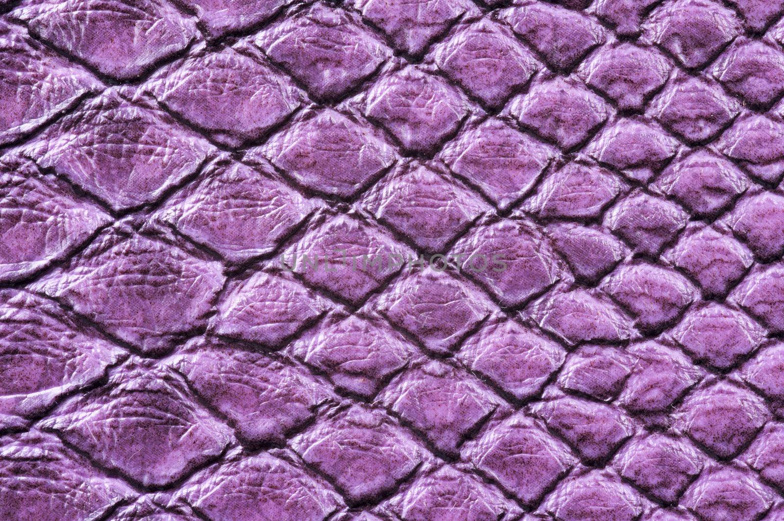 Detail of painted crocodile skin