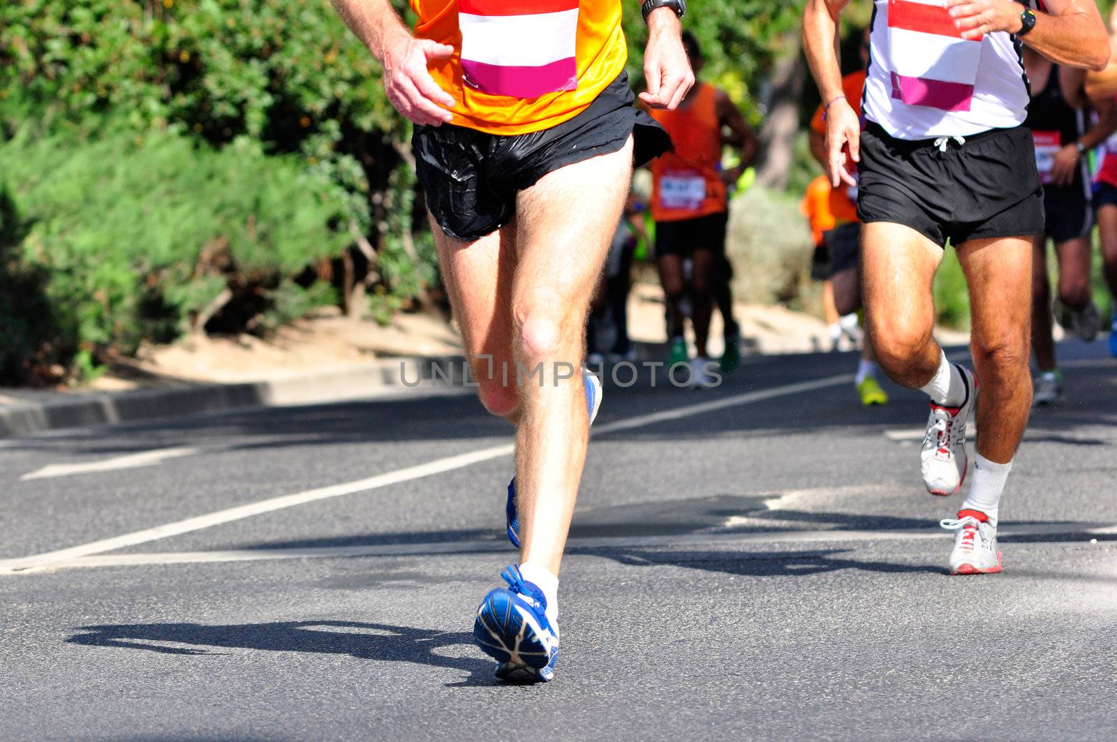 Group of marathon racers running