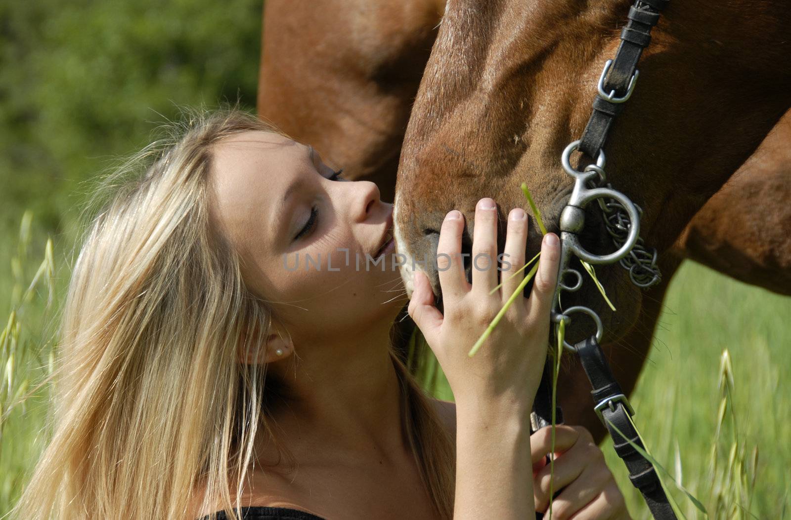 young woman kissing her brown stallion in a field