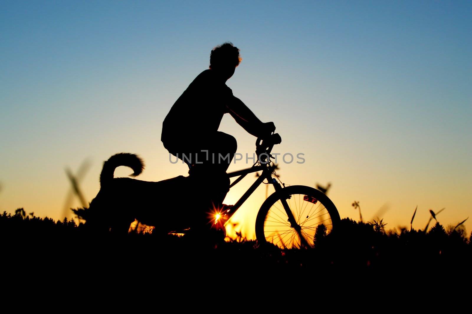 biker on a meadow at the sunset