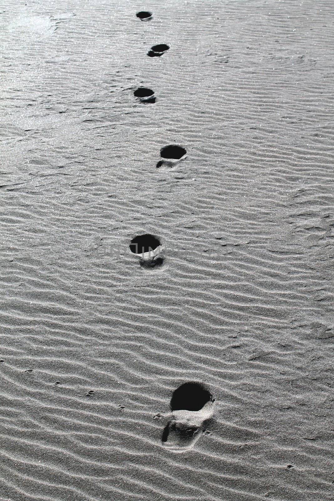 One trail of steps in the beach