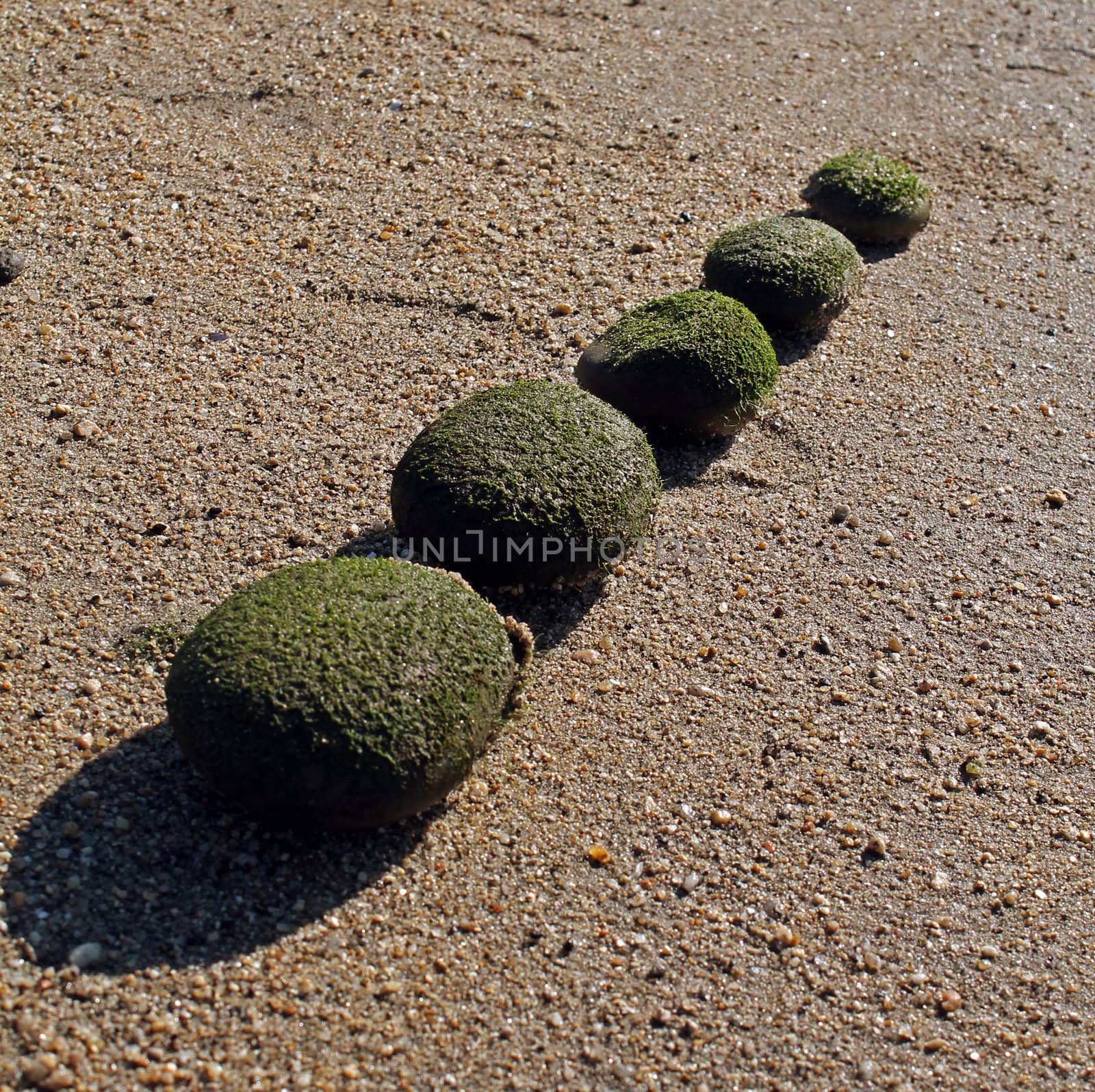 Three aligned stones