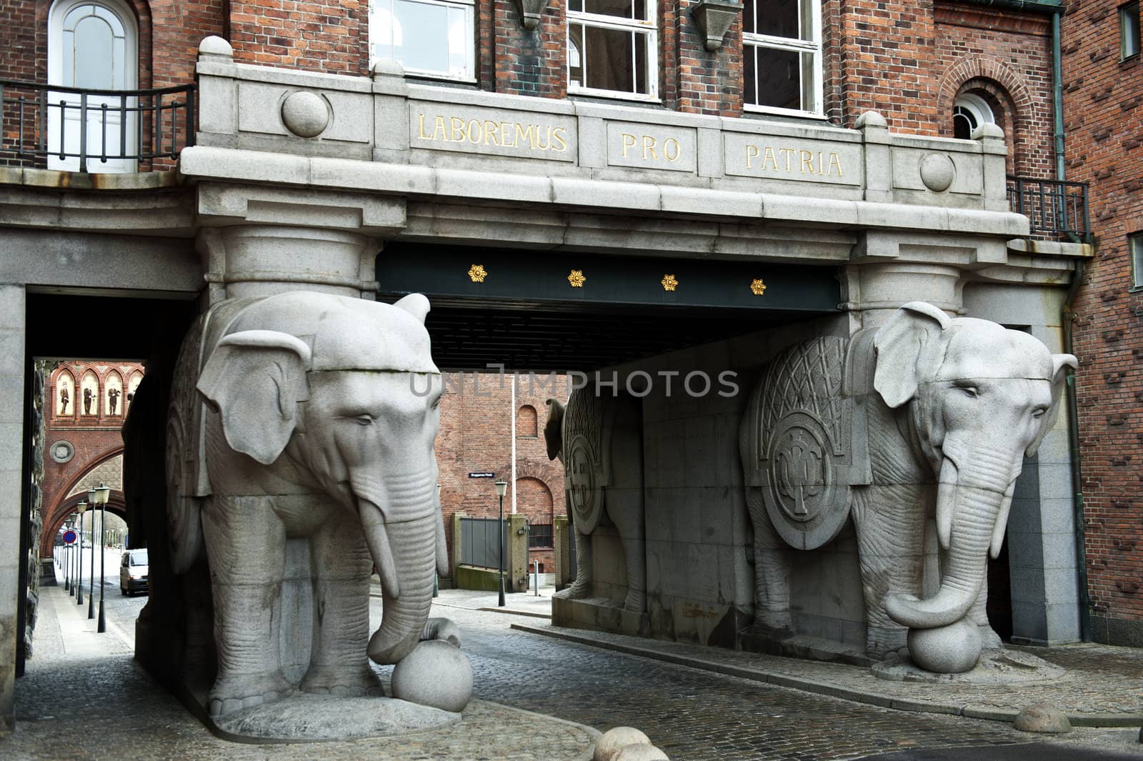 Carlsberg's elephant by Alenmax