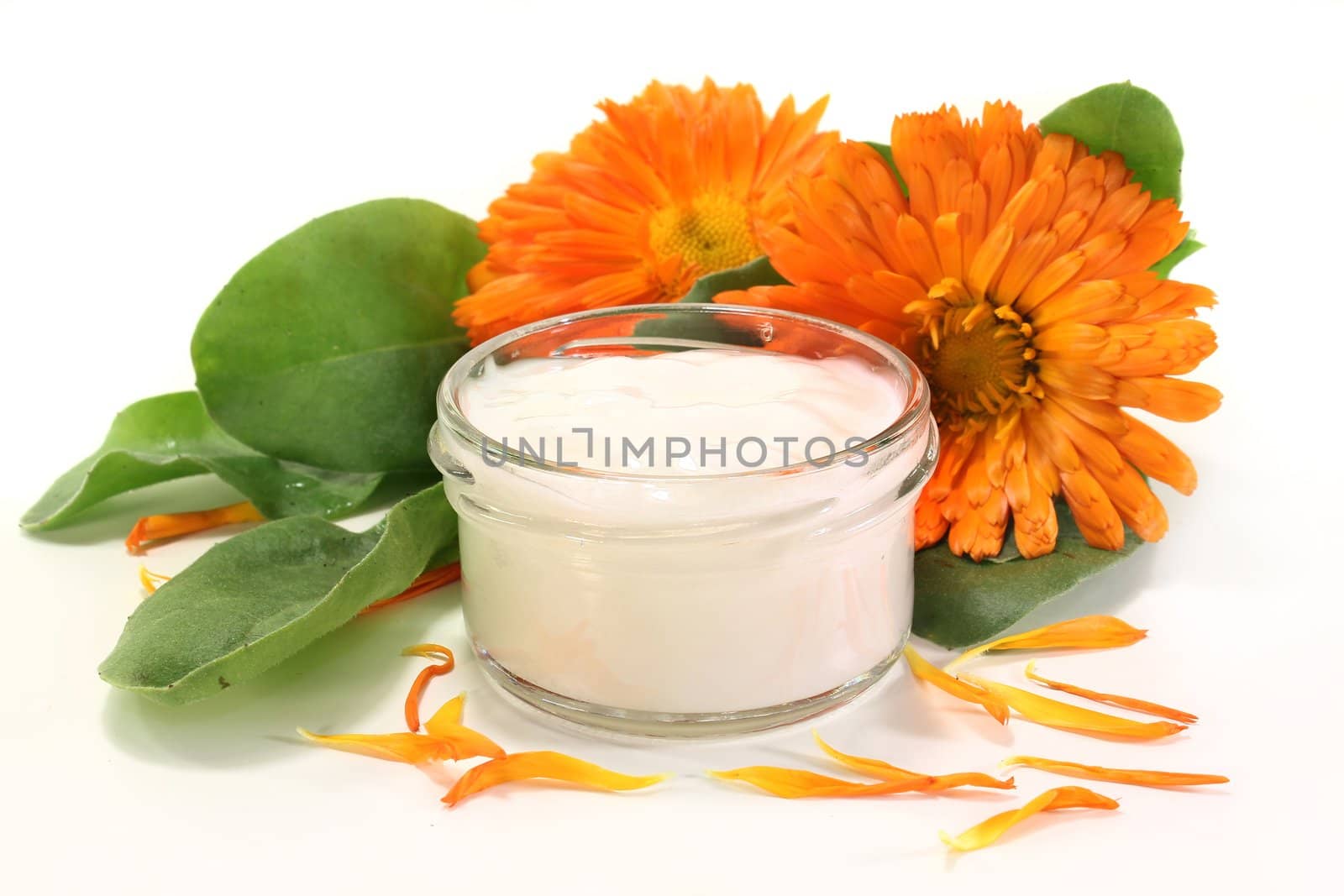 a pot marigold salve with fresh blossoms