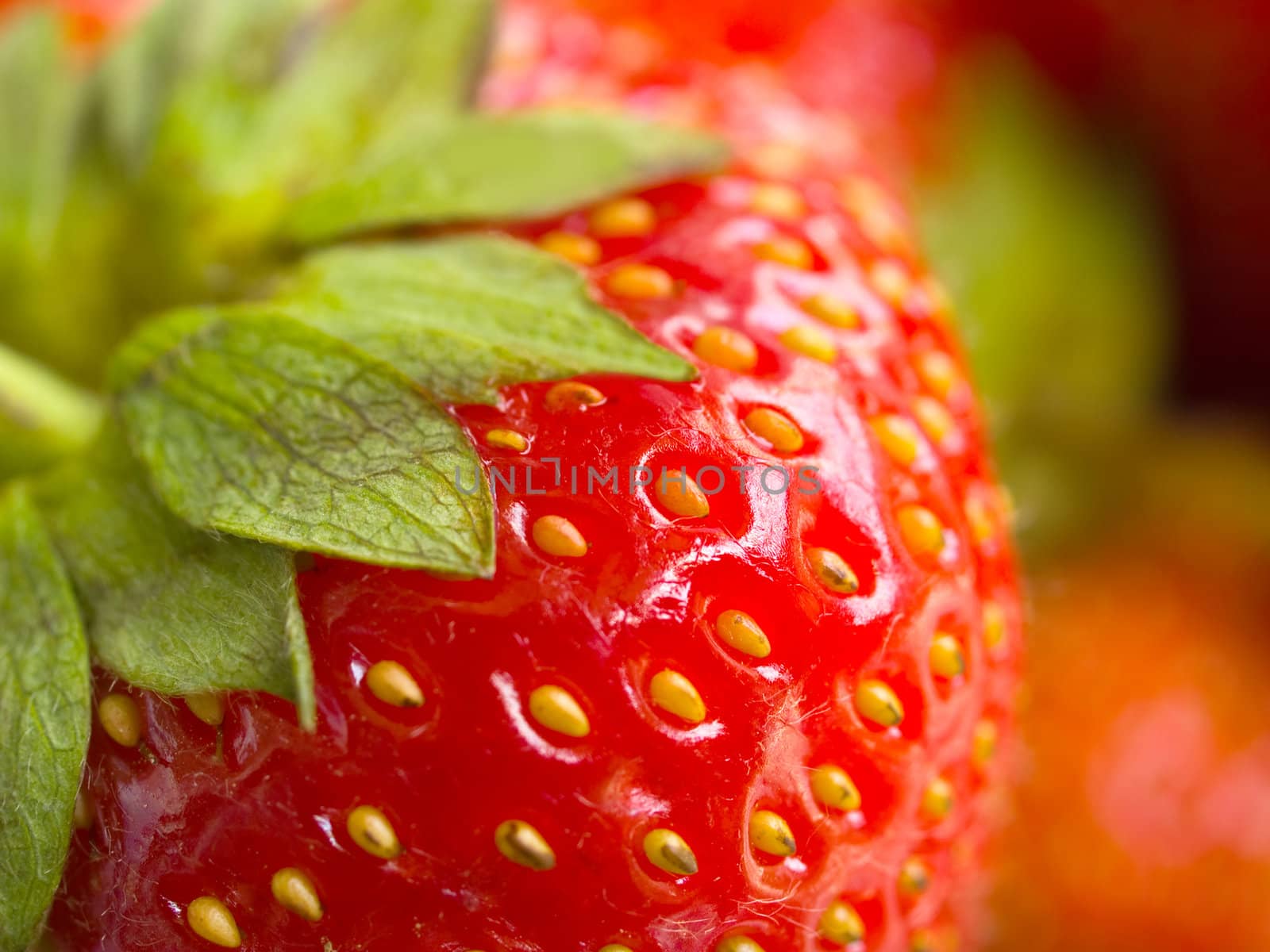 Fresh strawberry closeup