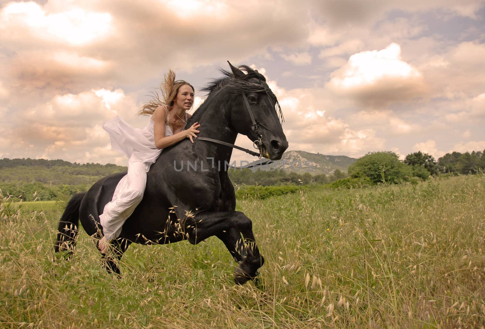 galloping beautiful wedding woman on her black stallion 