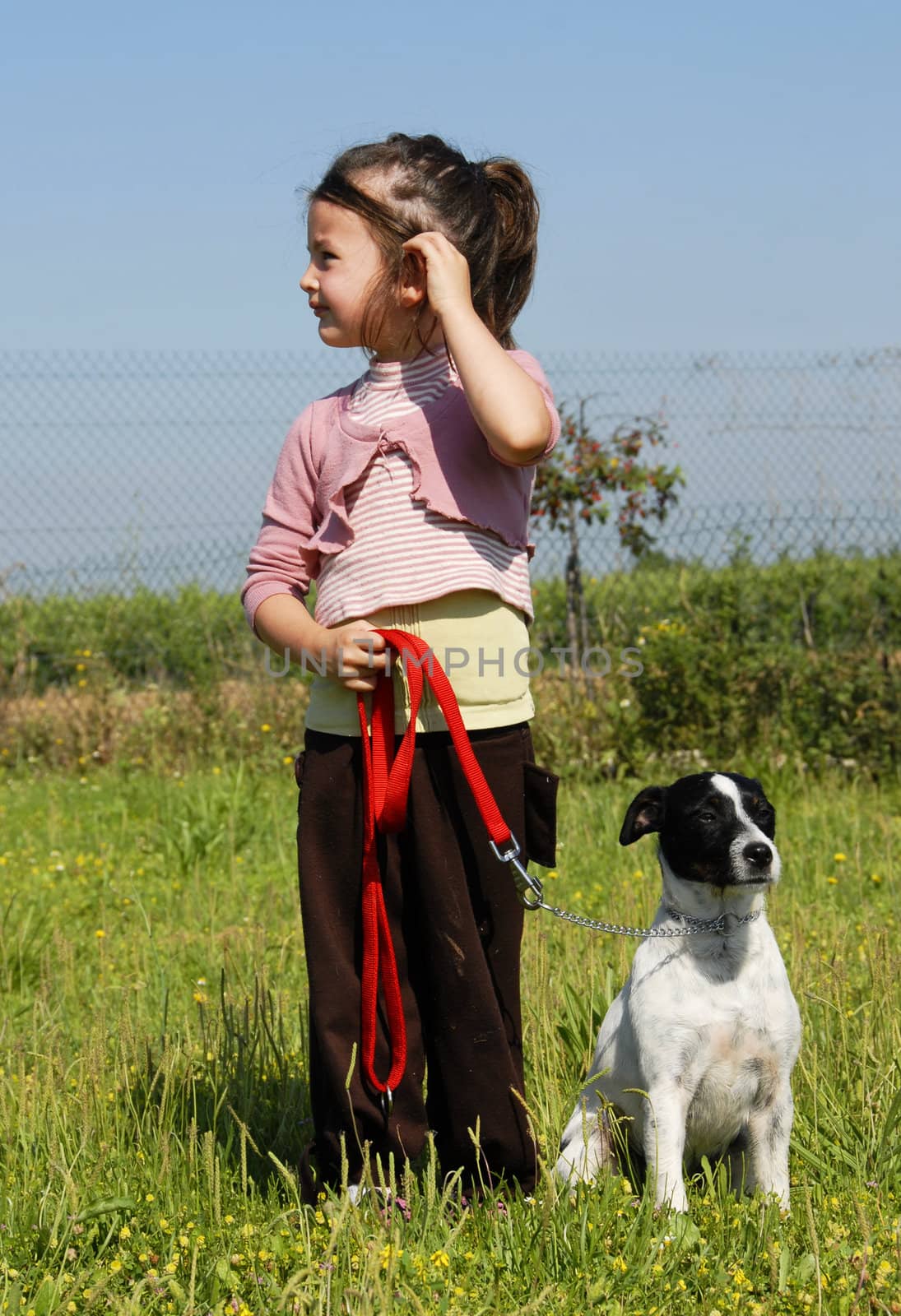 little girl and her purebred jack russel terrier