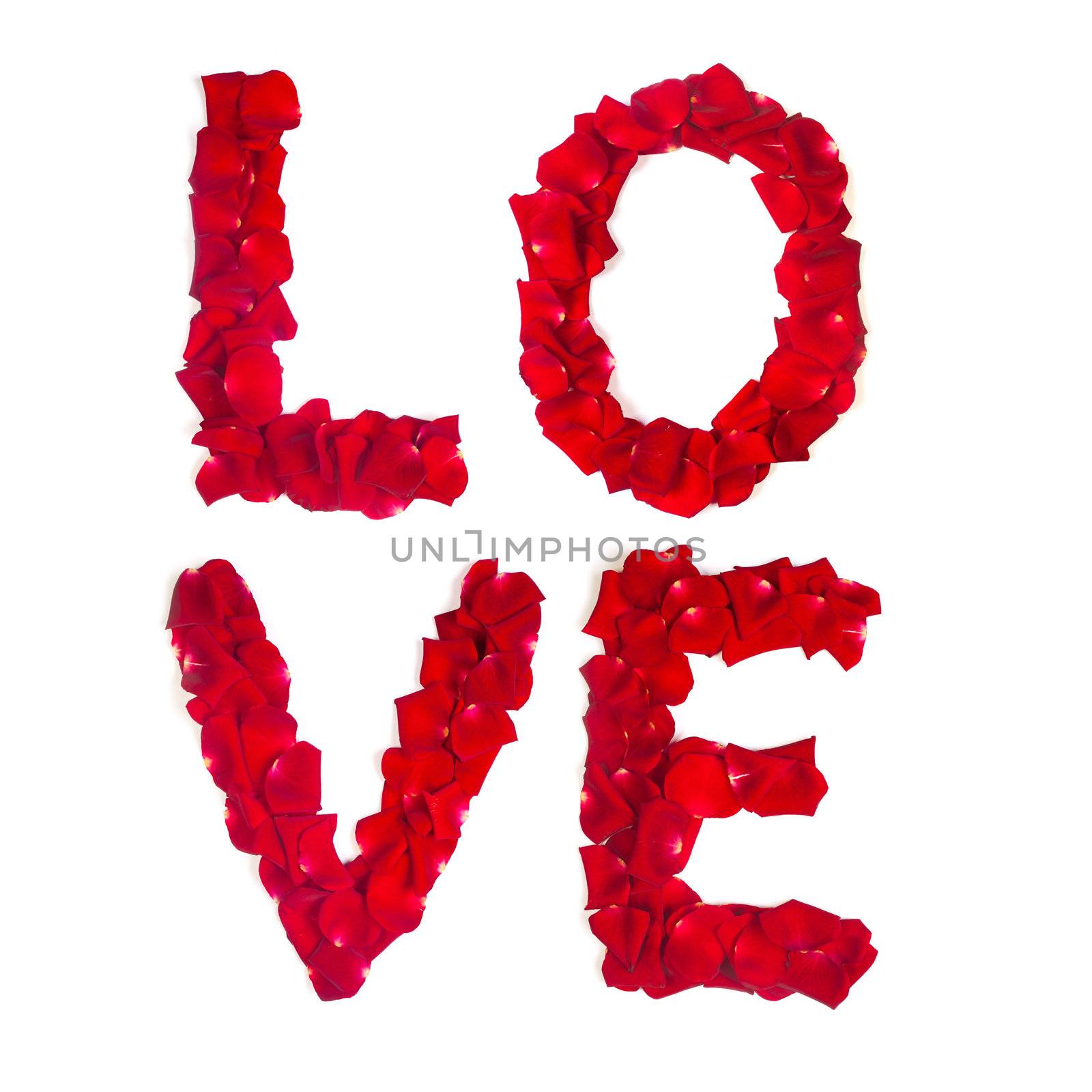 Red rose petals set in word LOVE isolated on white background