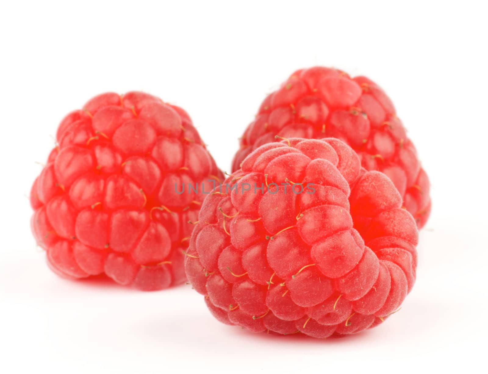 Fresh Ripe Perfect Raspberry by zhekos