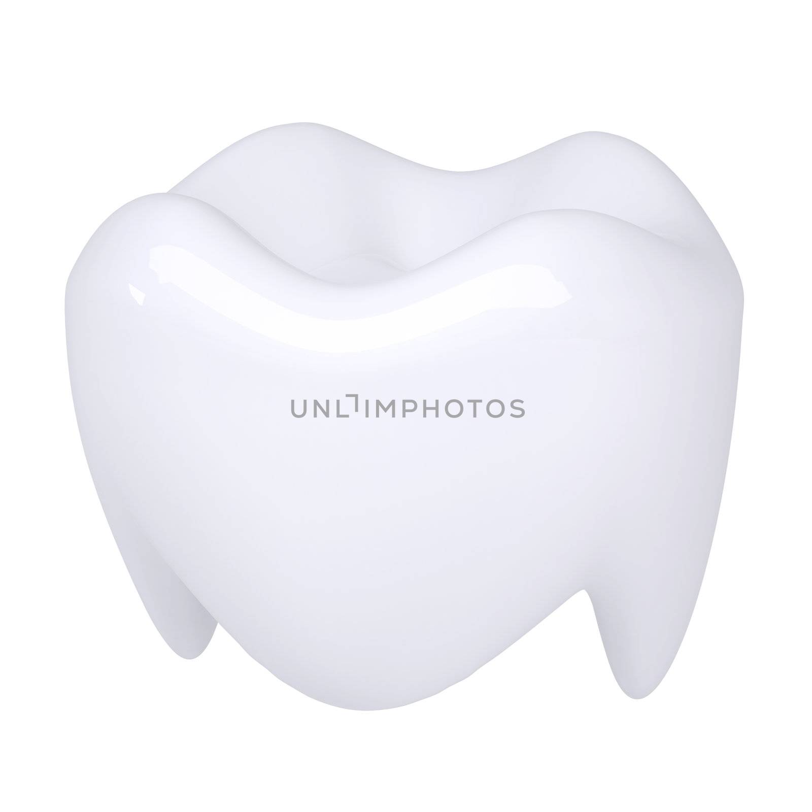 White tooth. Isolated render on a white background