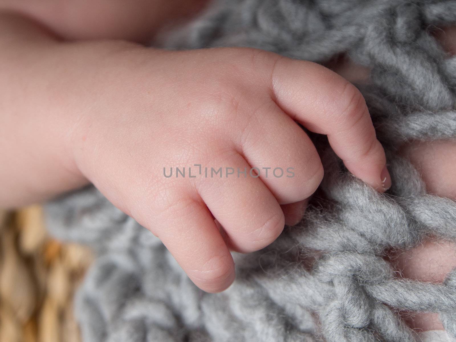 Newborn hand and fingers by Talanis