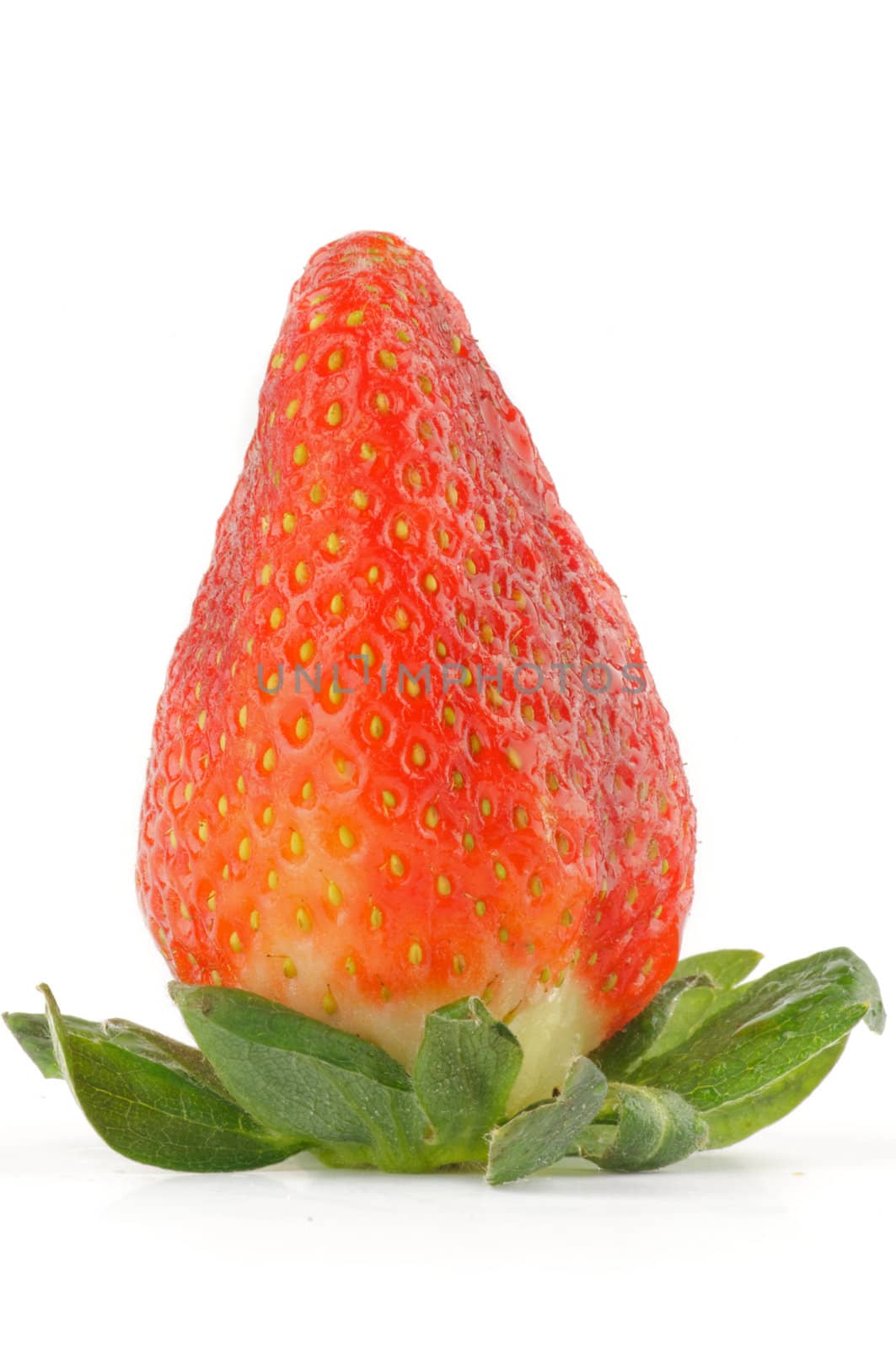 Fresh Ripe Perfect Strawberry by zhekos