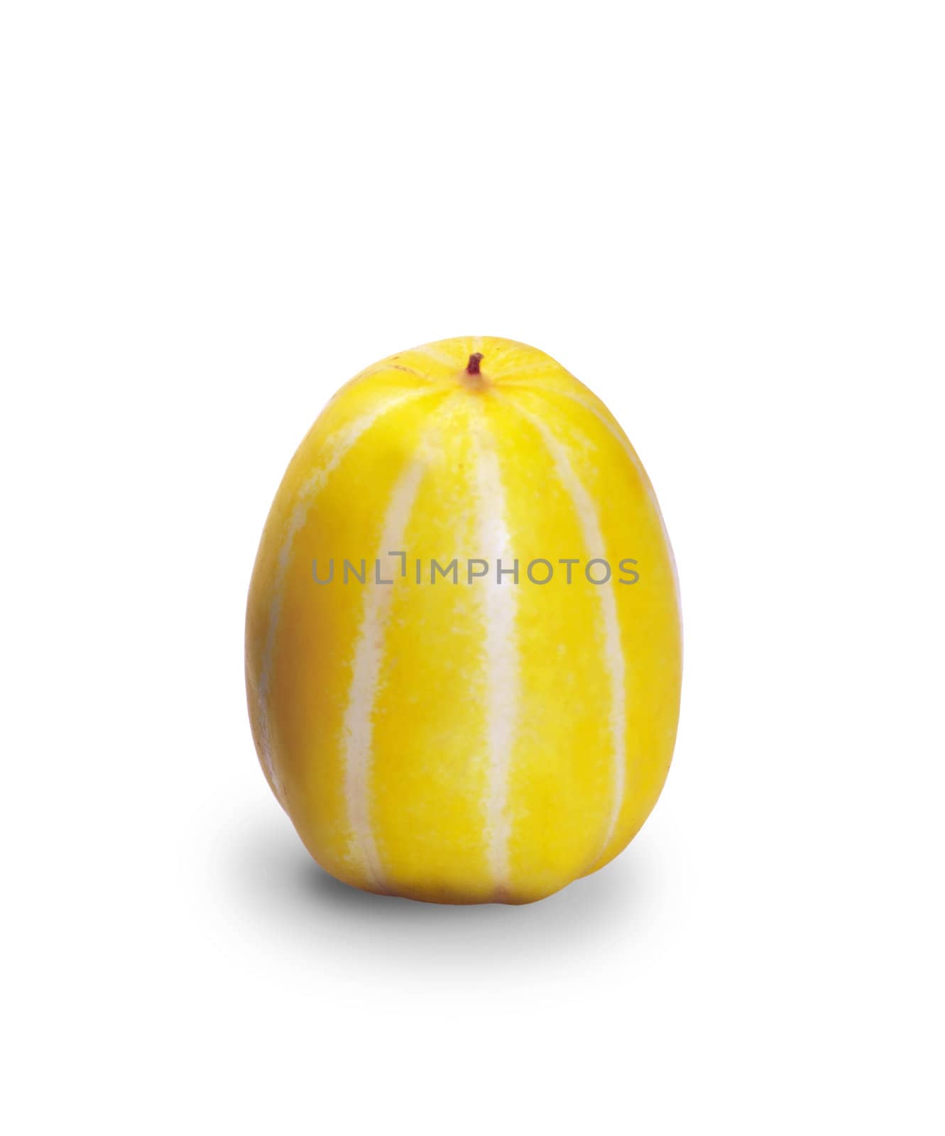 melon isolated on white background
