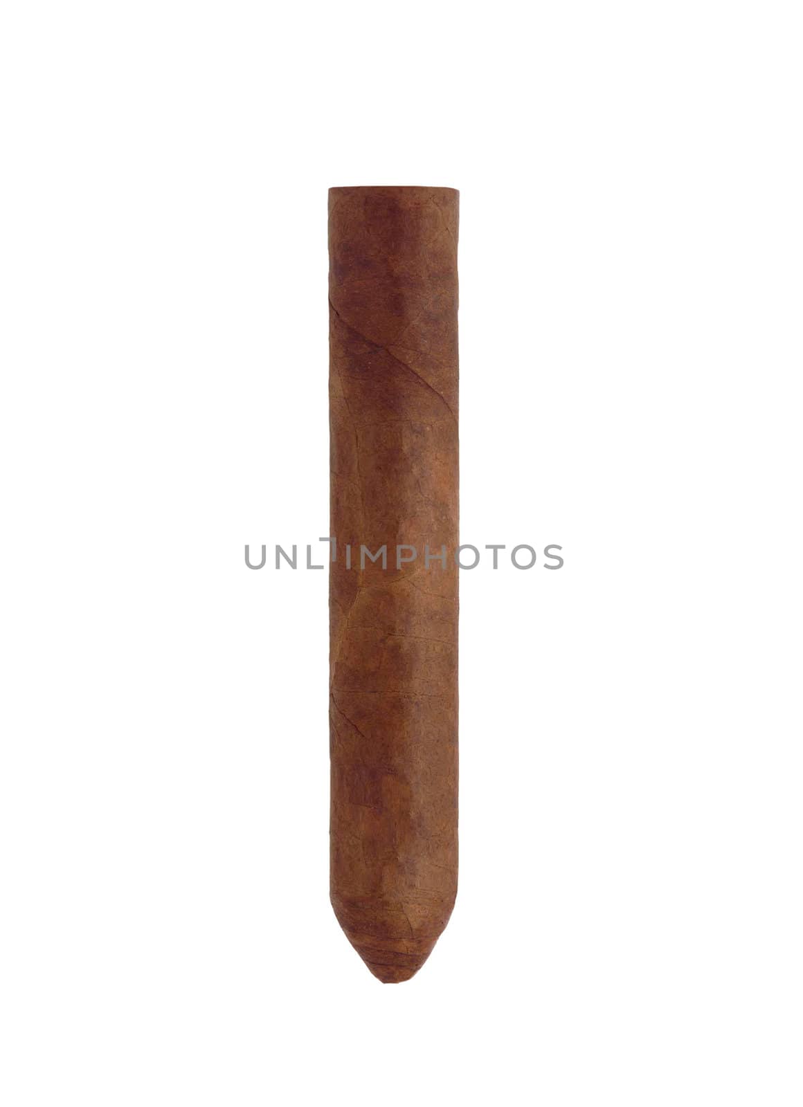 cigar from kuba isolated
