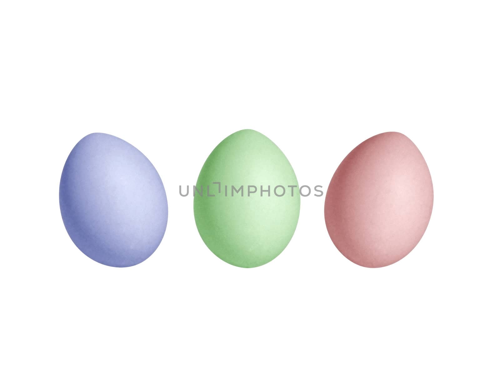 Colored eggs on a white background