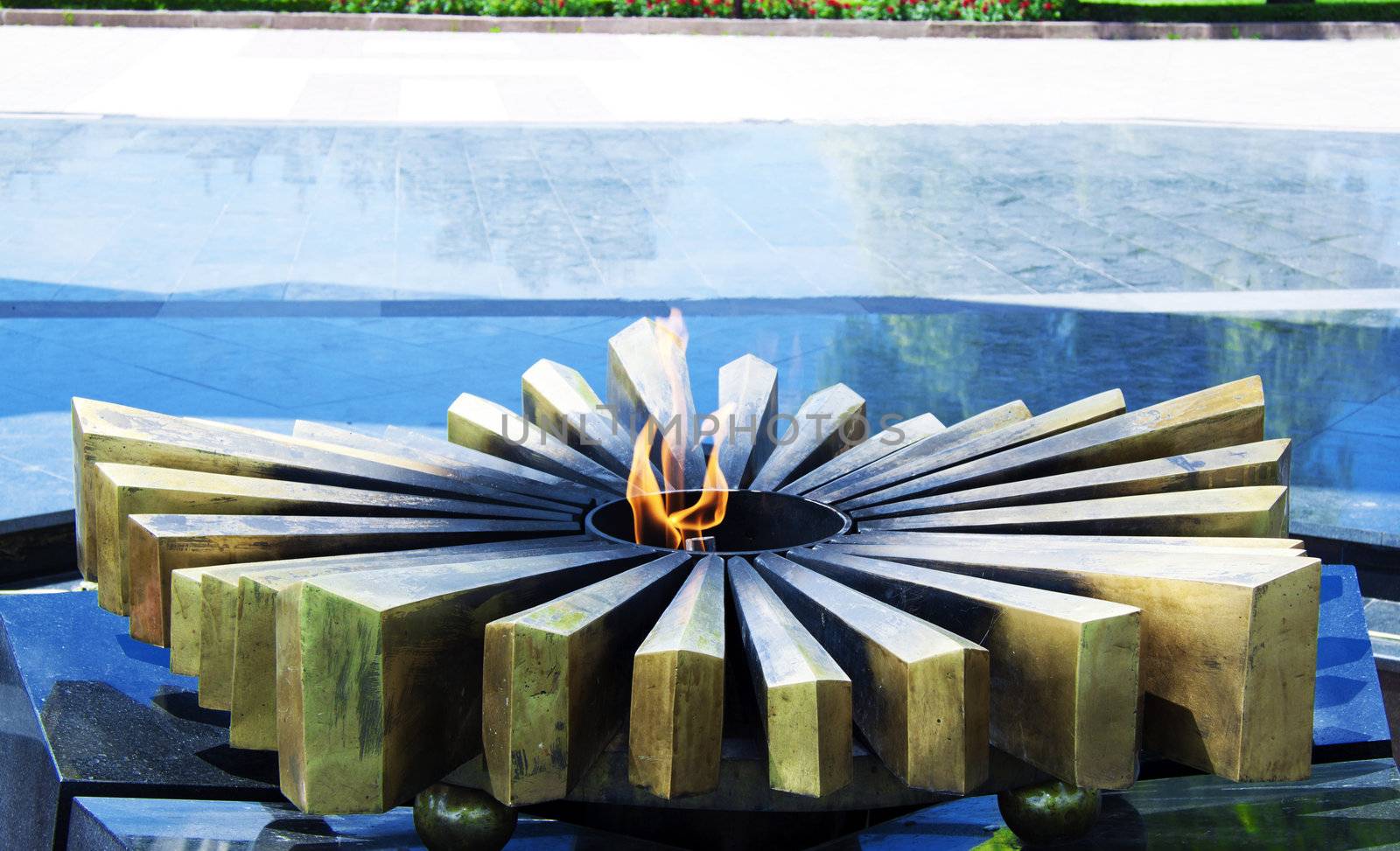 flame of memory close-up