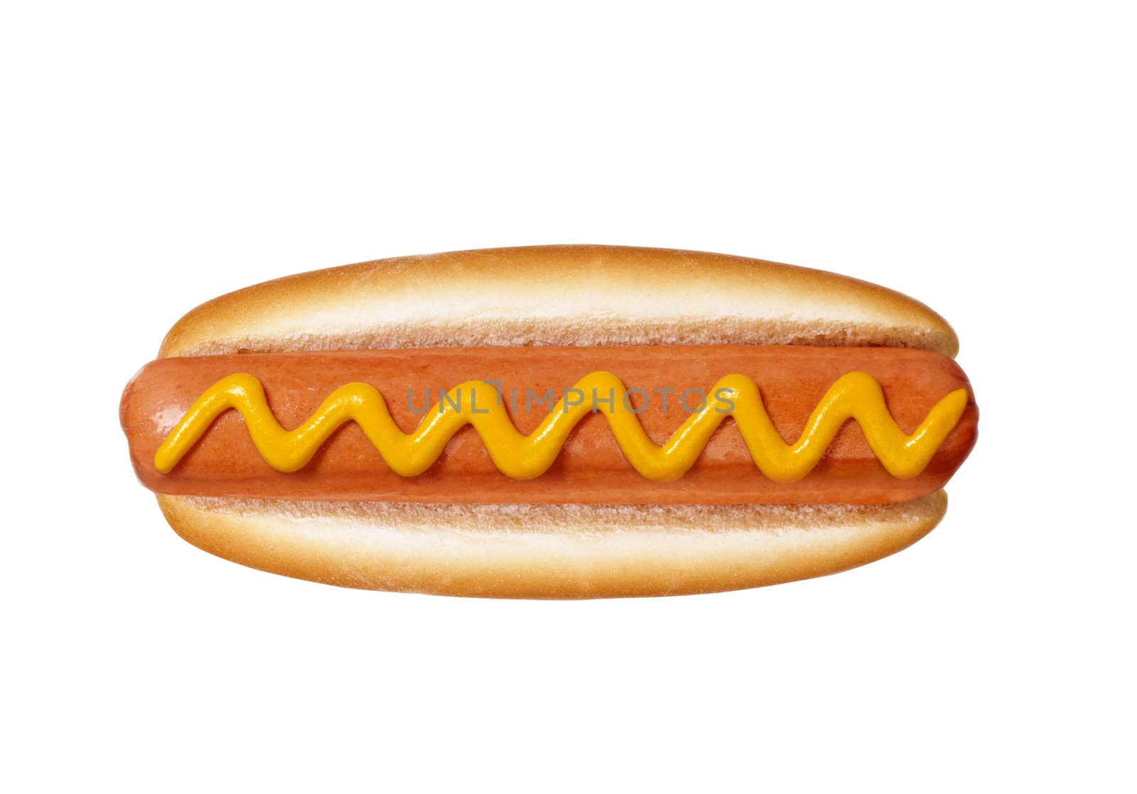 hot dog on white background