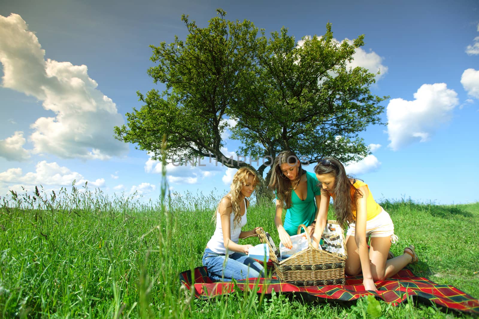 girlfriends on picnic in green grass