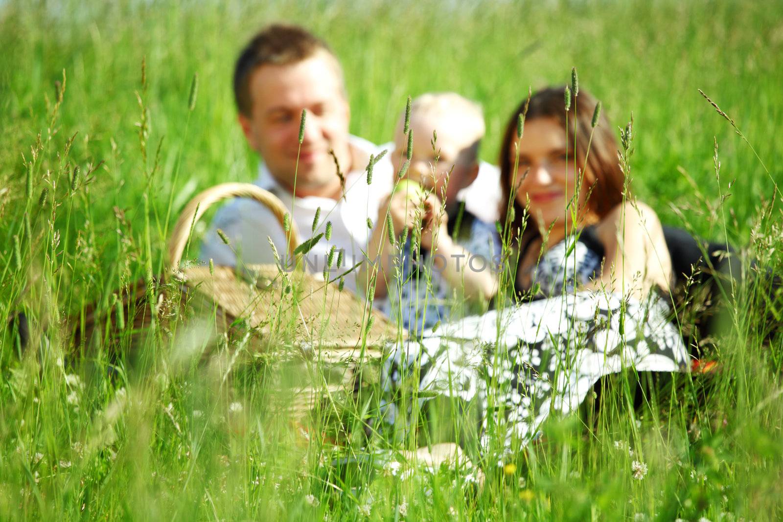  happy family on picnic in green grass