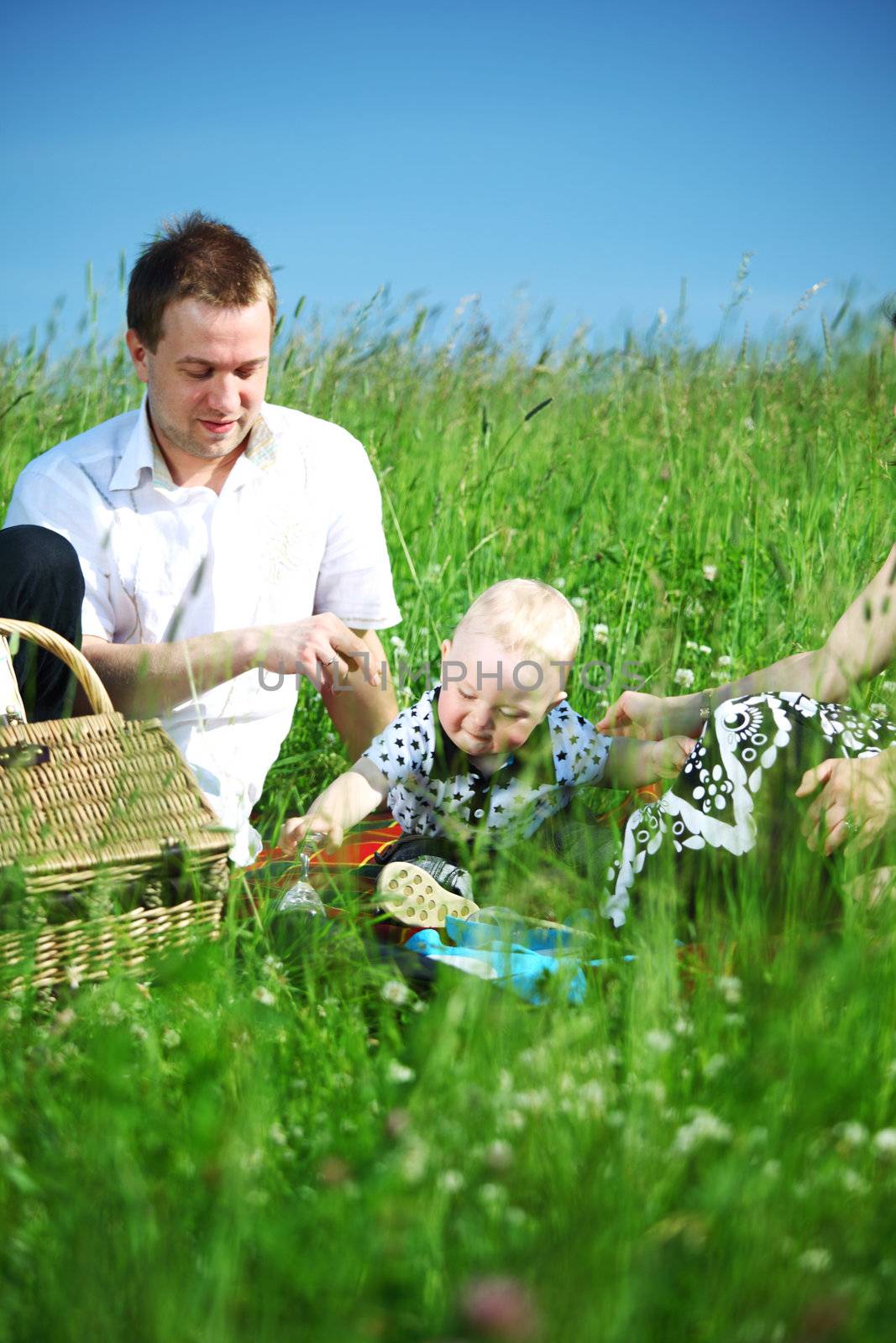  happy family on picnic in green grass