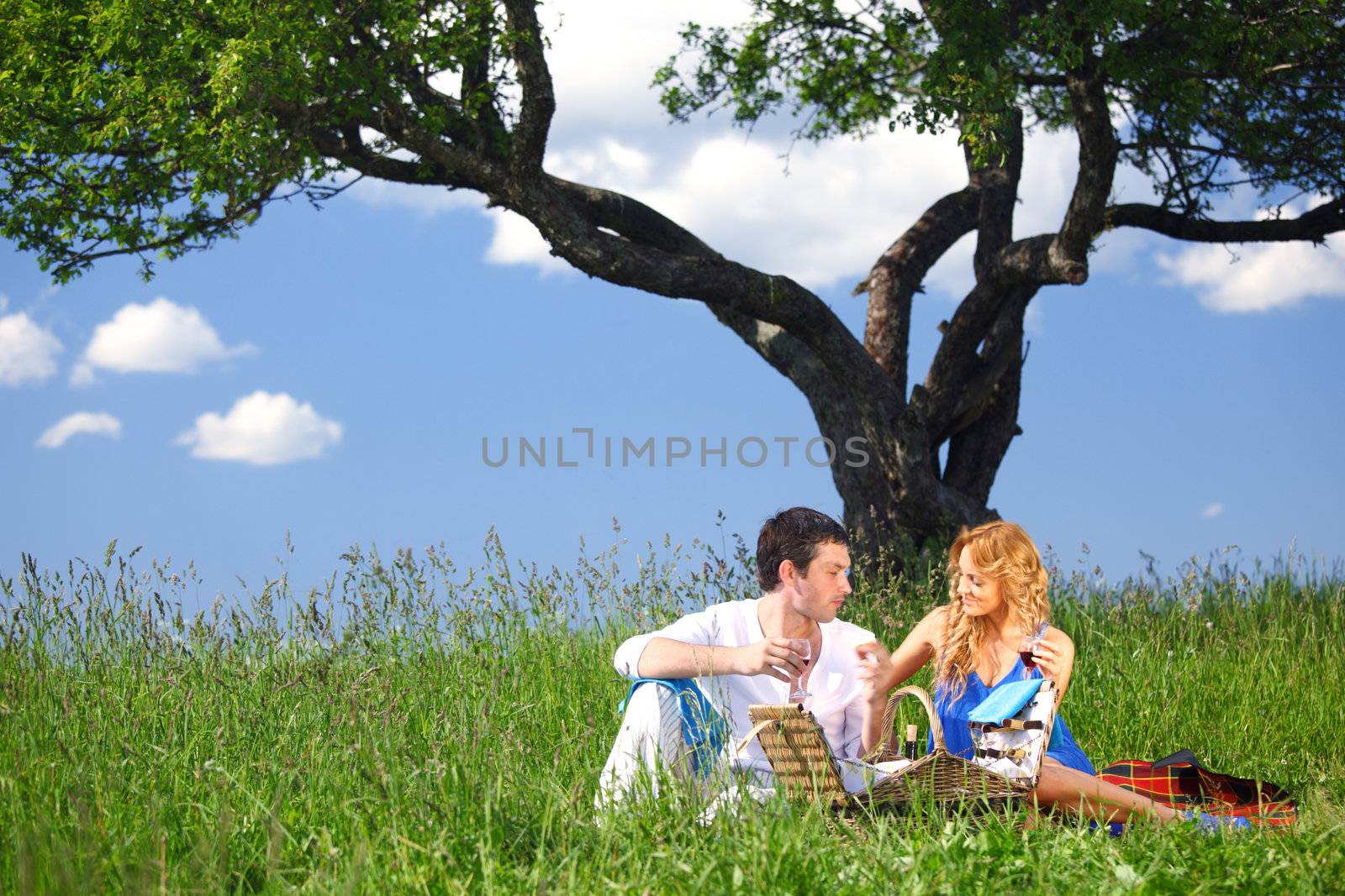 man and woman on picnic in green grass