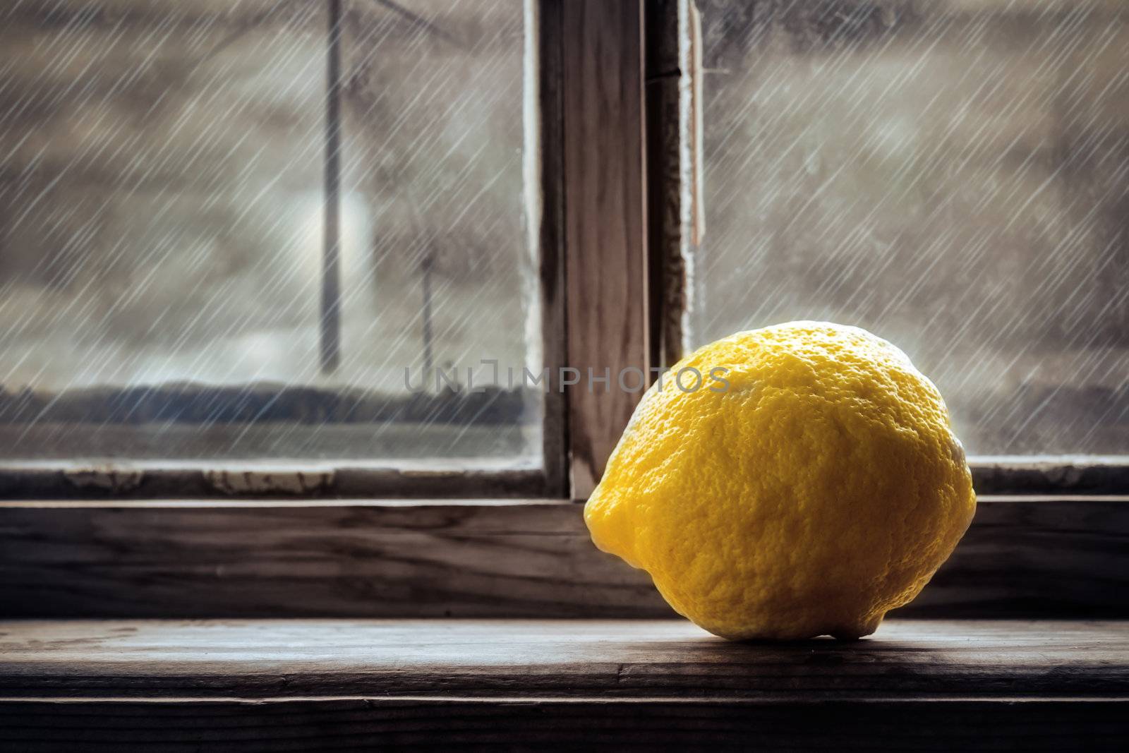 Lemon on the window by silent47
