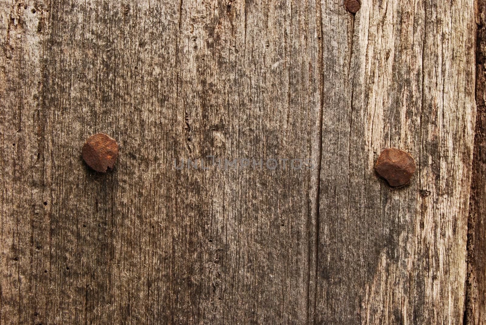 Old weathered wooden board, rusty nail's heads, as background