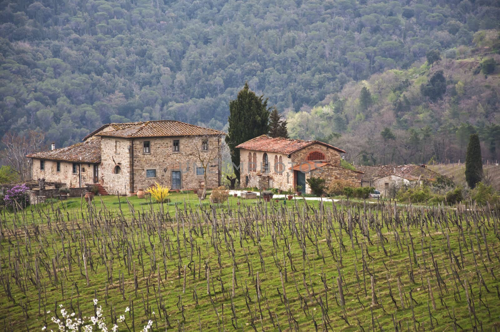 farmland and countryside in Chianti, Tuscany, Italy