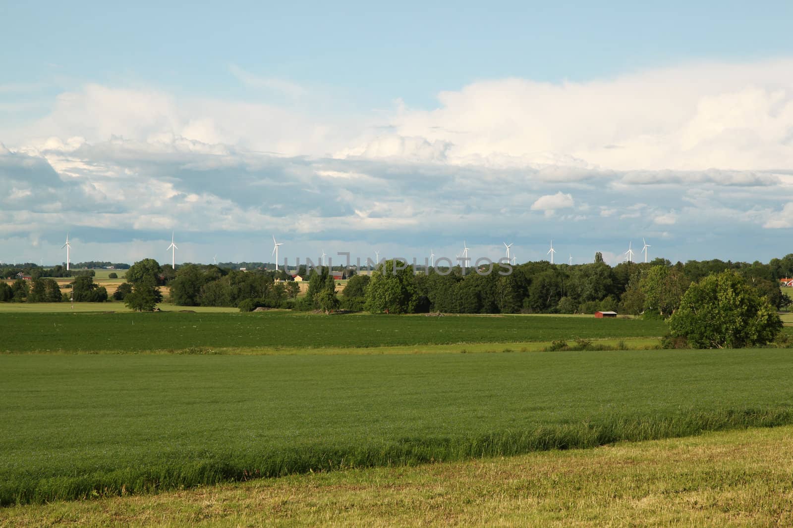 A typical Swedish summer view with green fields and windmills.