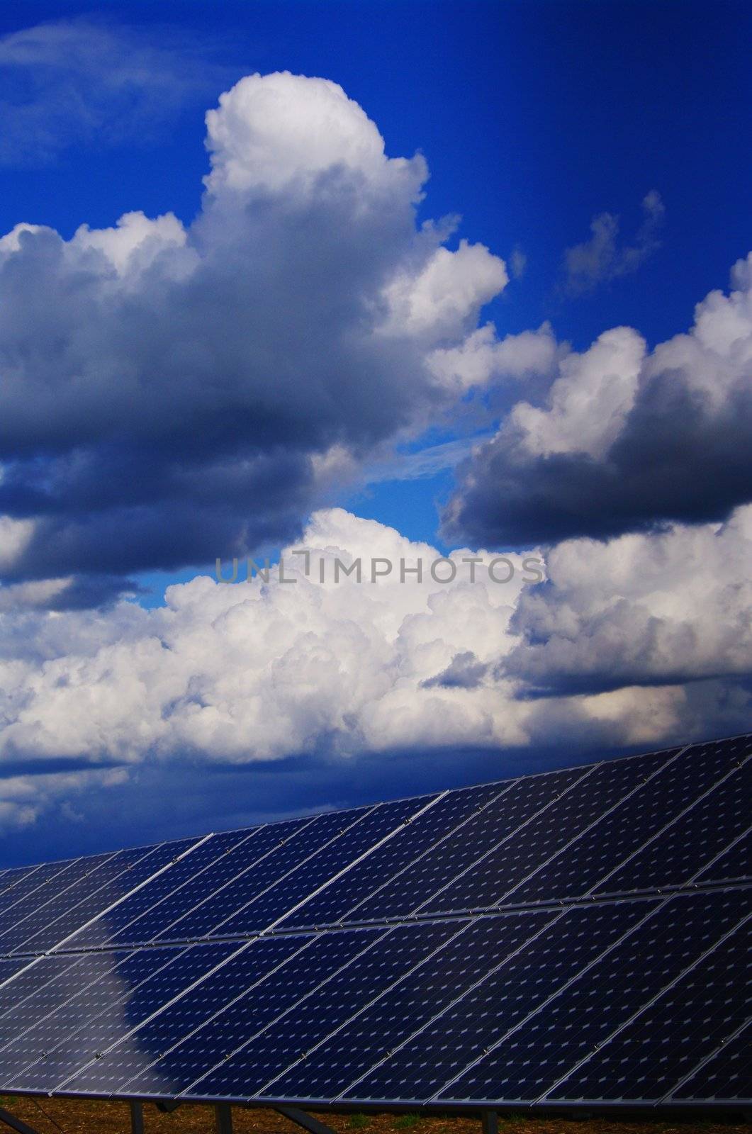 solar plant by yucas