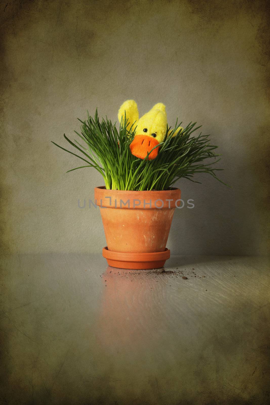 Funny toy duck in a pot of green grass in grunge style.
