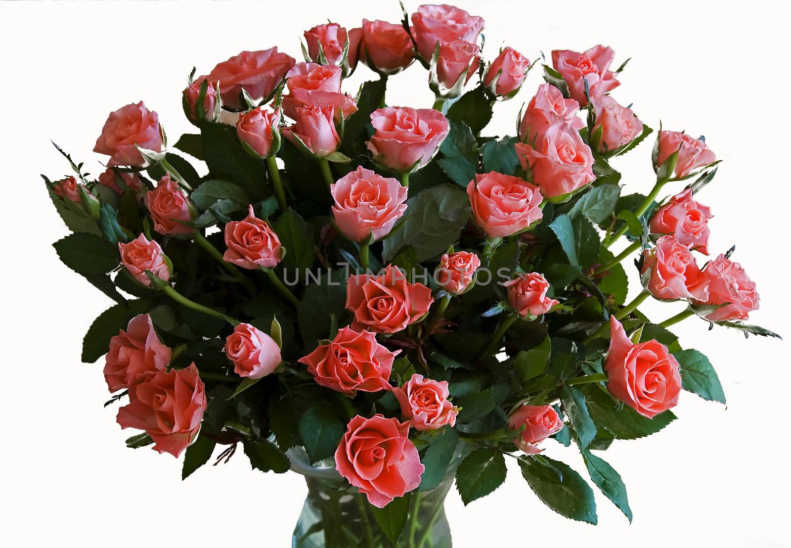bouqet of red roses as a present for love