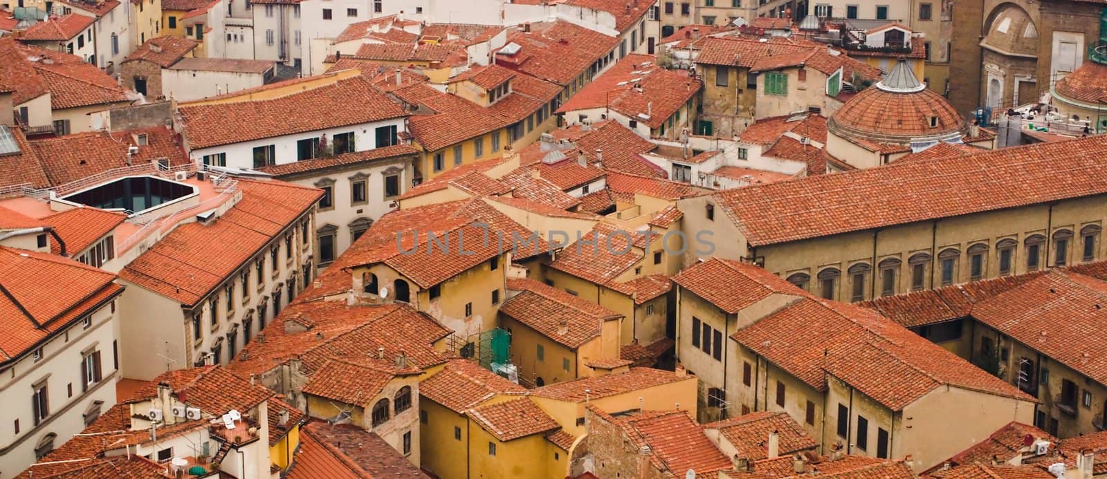 Top view on the roofs of Florence