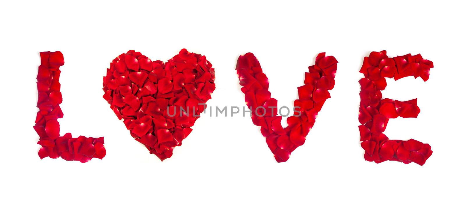 Love of rose petals isolated on white by bloodua