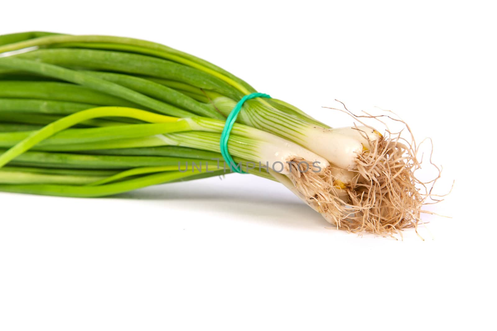 Fresh scallions isolated on white by bloodua