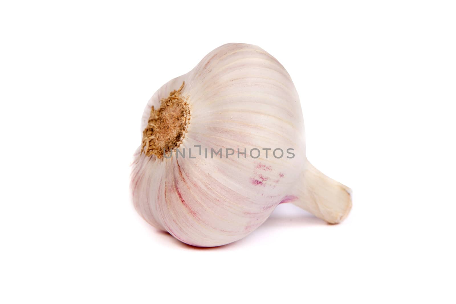 One garlic . A head of garlic isolated on a white background