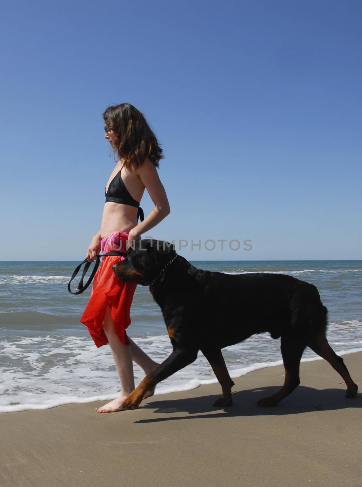 woman and rottweiler on the beach by cynoclub