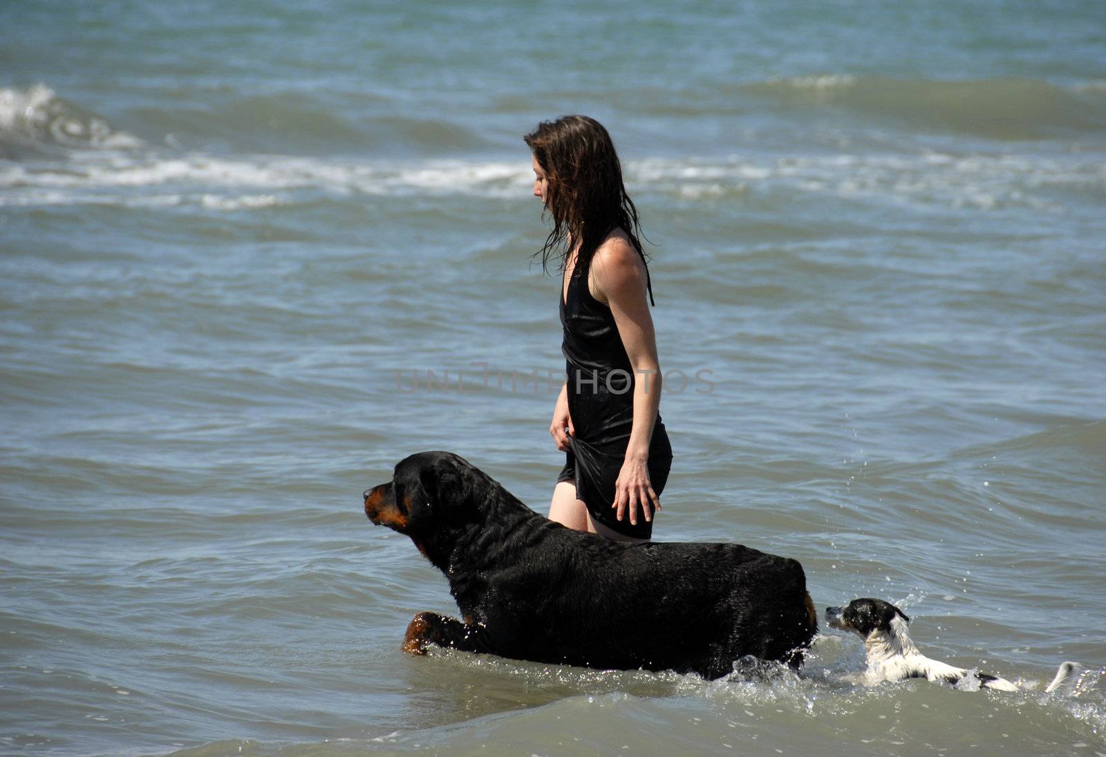 woman and her two dogs on the sea