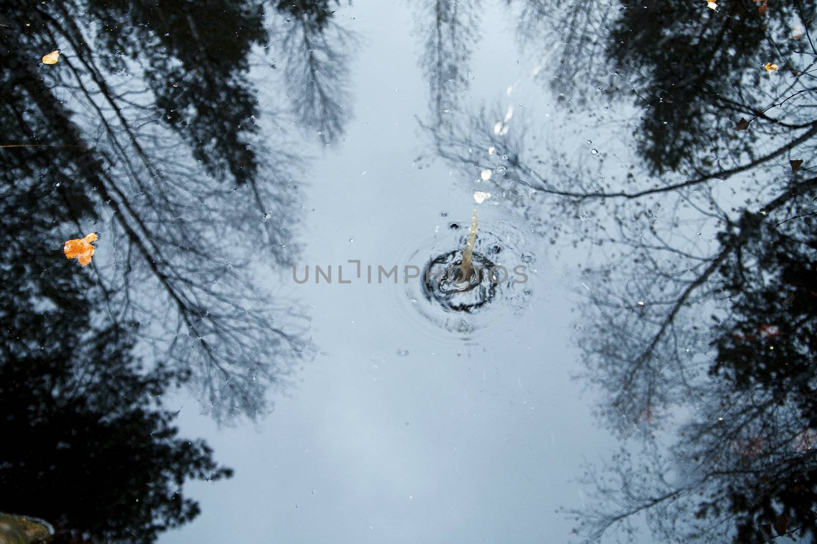 splash in water in a reservoir
