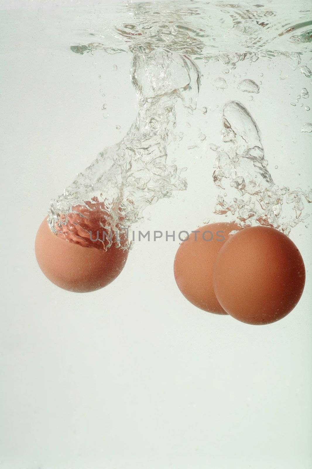 boiling eggs  eggs falling in water