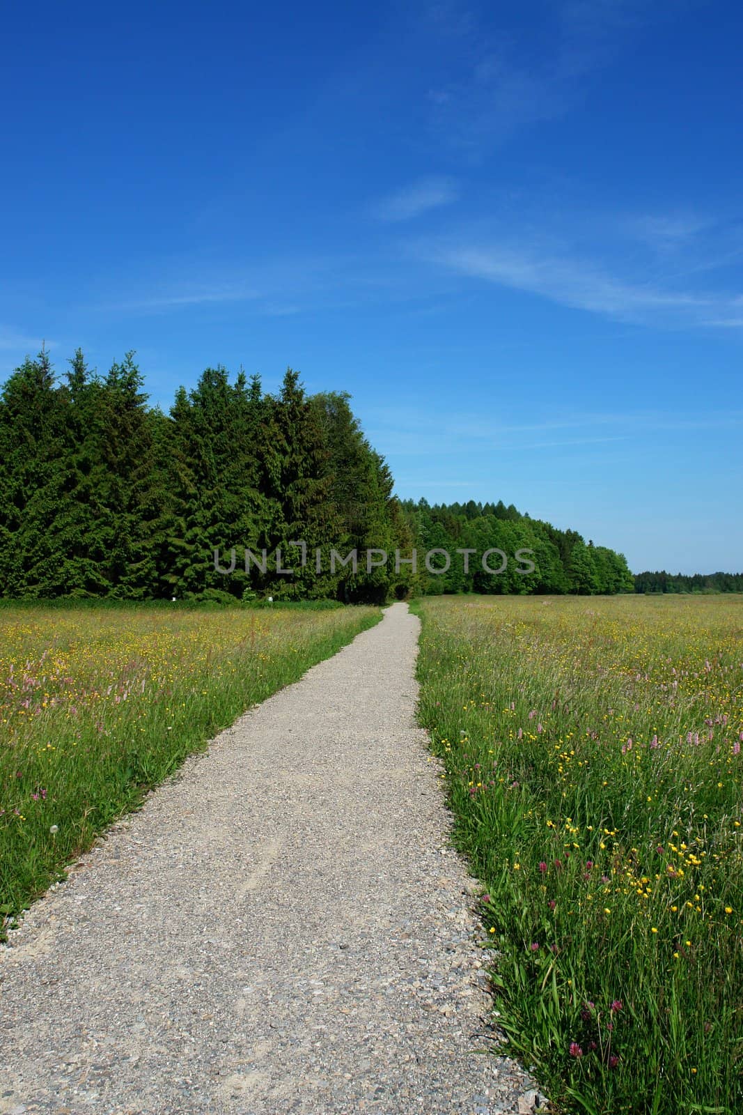 Picture of a footpath