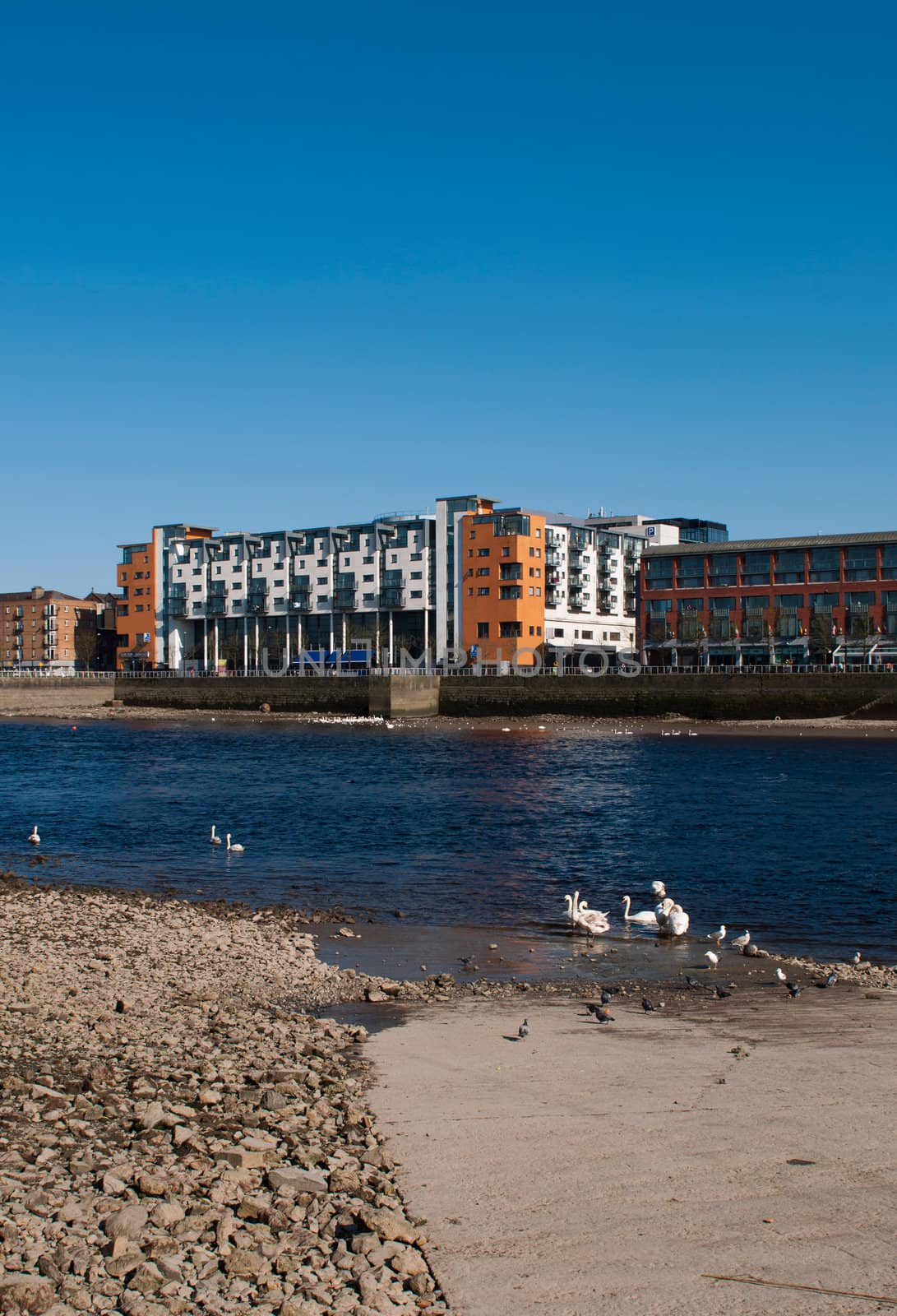 Limerick cityscape with modern architecture buildings over Shannon river with swans and pigeons, Ireland (gorgeous blue sky)