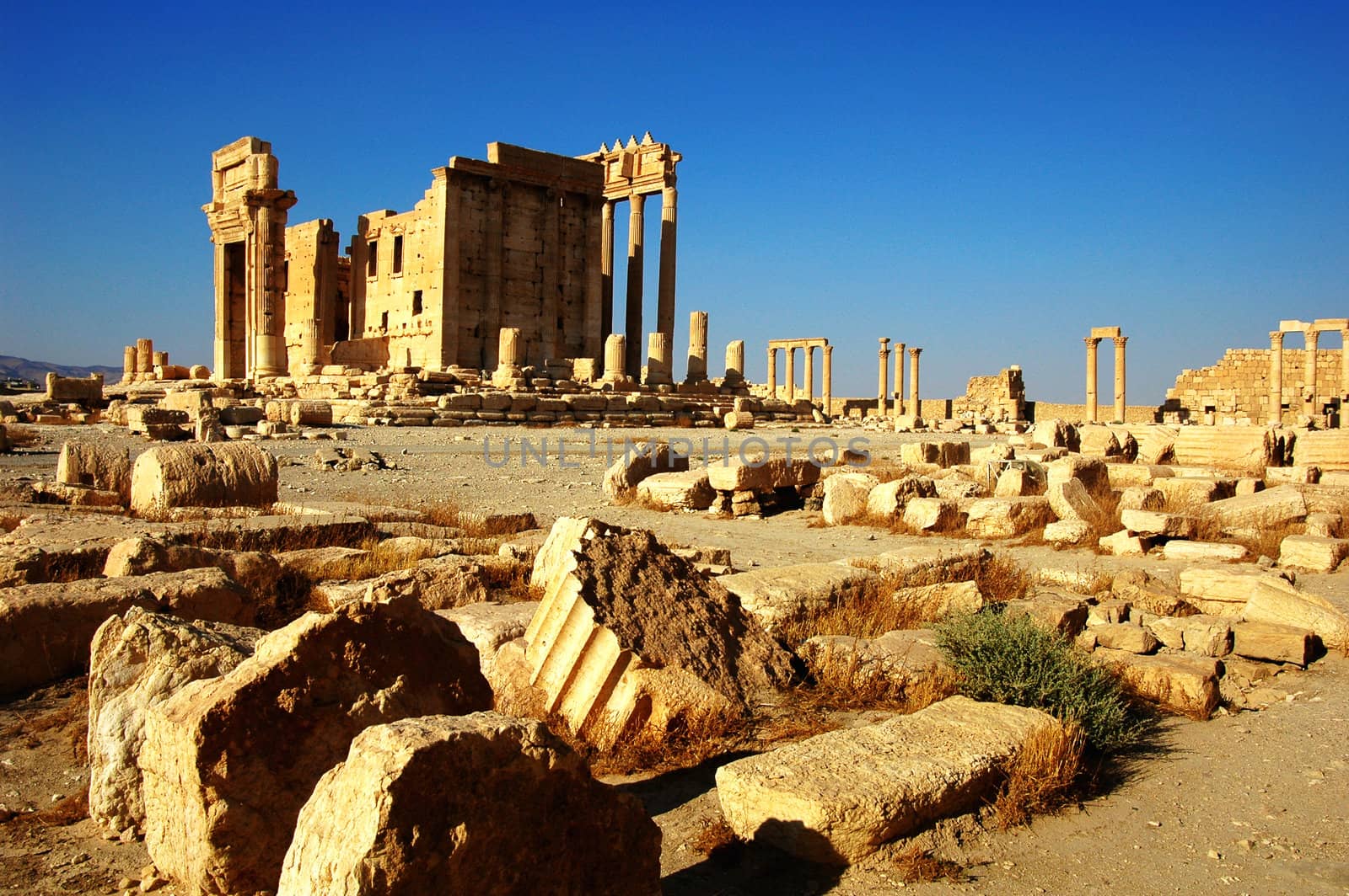 Relics Palmyra in Syria against blue sky. Ancient Roman time town in Palmyra (Tadmor), Syria.