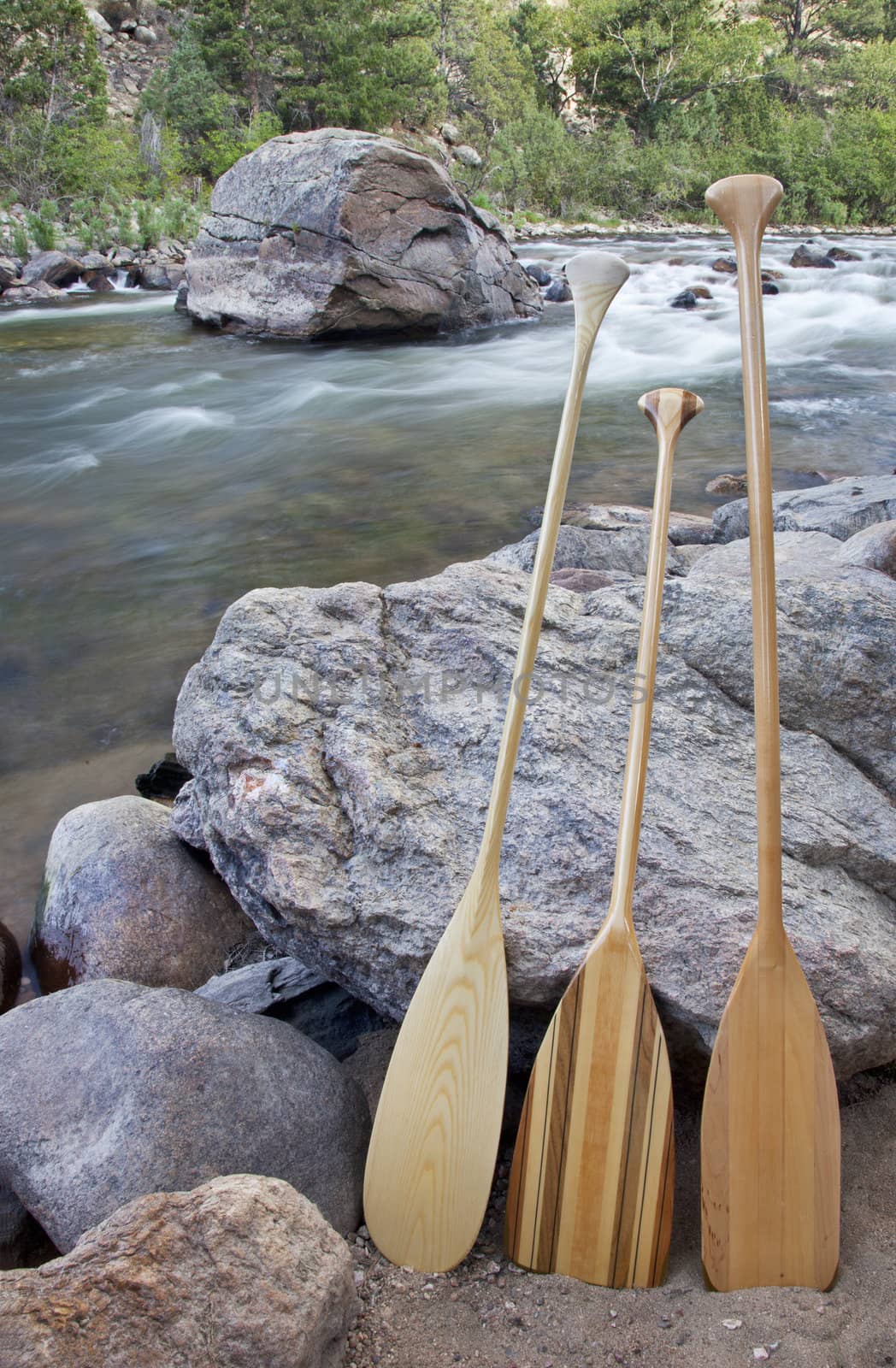 three wooden canoe paddles on shore of mountain river - Cache la Poudre RIver near Fort Collins, Colorado